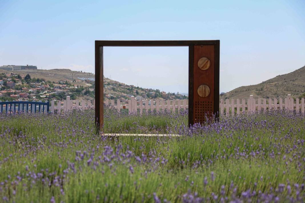 Renkleriyle büyülüyor, kokusuyla dinlendiriyor! Meram’da beklenen an geldi 9